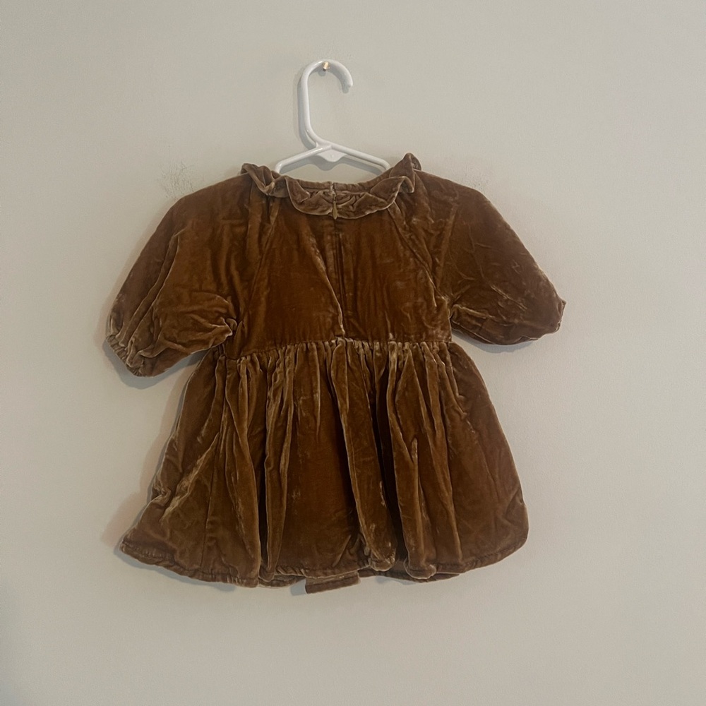 Noralee Velvet Baby Dress with Bloomers 6M NWT Brown Ruffle Collar - Picture 4 of 5